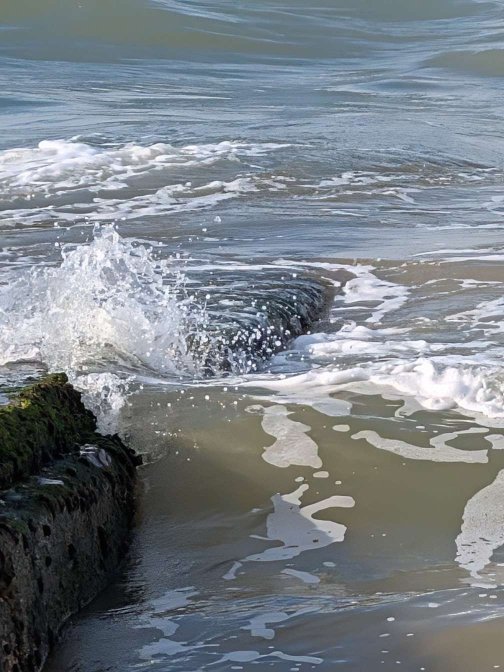 Pxl 20241111 124055493